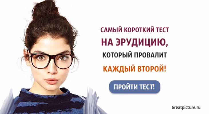 Тест На Эрудицию Картинки